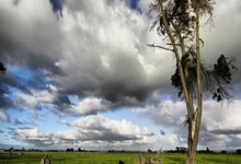 南宫28：吉鲁含泪演讲：大家知道我对法国的热爱，很幸运能经历这一切.