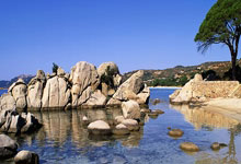 南宫28：[冰雪]王心迪决胜轮失误 获得世锦赛第六.